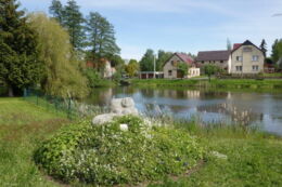 Blick auf den Dorfteich in Leppersdorf